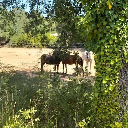 L Etrier Villa Lorgues Buitenkant foto